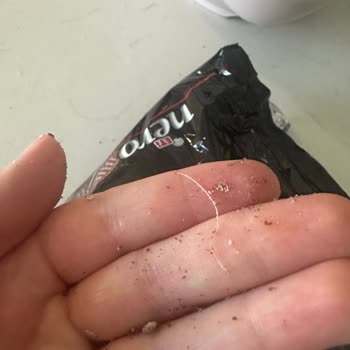 Bursa Nilüfer'deki Markette Satın Alınan Bisküviden Plastik Parça Çıktı