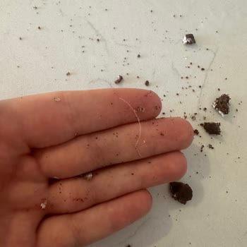 Bursa Nilüfer'deki Markette Satın Alınan Bisküviden Plastik Parça Çıktı