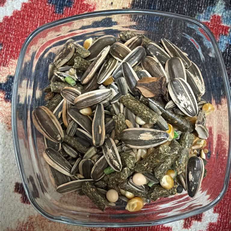 Enjoy Premium Kemirgen Yeminde Aşırı Çekirdek İçeriği Ve Tavşan Enerji Düşüklüğü