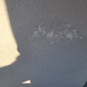 Marshall Dış Cephe Boyasında Kabarma Ve Cevapsız İletişim