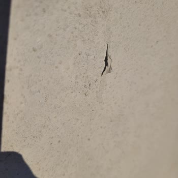 Marshall Dış Cephe Boyasında Kabarma Ve Cevapsız İletişim