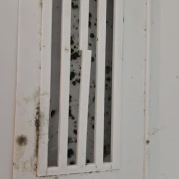 Stok Yok Deyen Yetkili, Buzdolabımı Bekletiyor