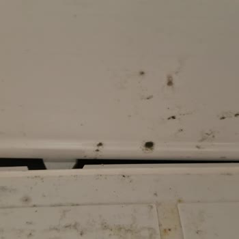 Stok Yok Deyen Yetkili, Buzdolabımı Bekletiyor