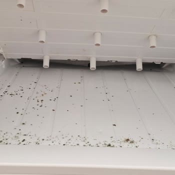 Stok Yok Deyen Yetkili, Buzdolabımı Bekletiyor