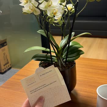 Bloom And Fresh Şikayeti