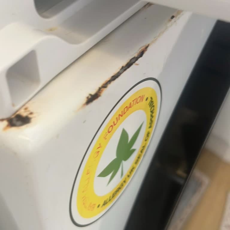 Sürekli Anakart Arızaları Nedeniyle Çamaşır Makinemin Değiştirilmesini Talep Ediyorum