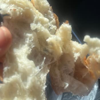 Küflü Pide Satışı Ve Gıda Güvenliği Denetim Talebi