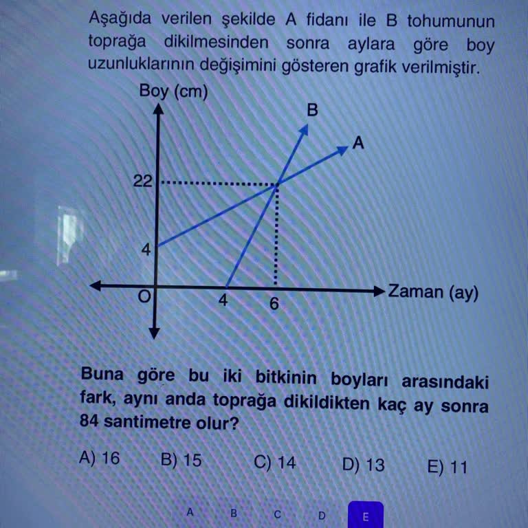 MEB’im 12. Sınıf Fonksiyon Grafiği Sorusu Yanlış Video Çözümü