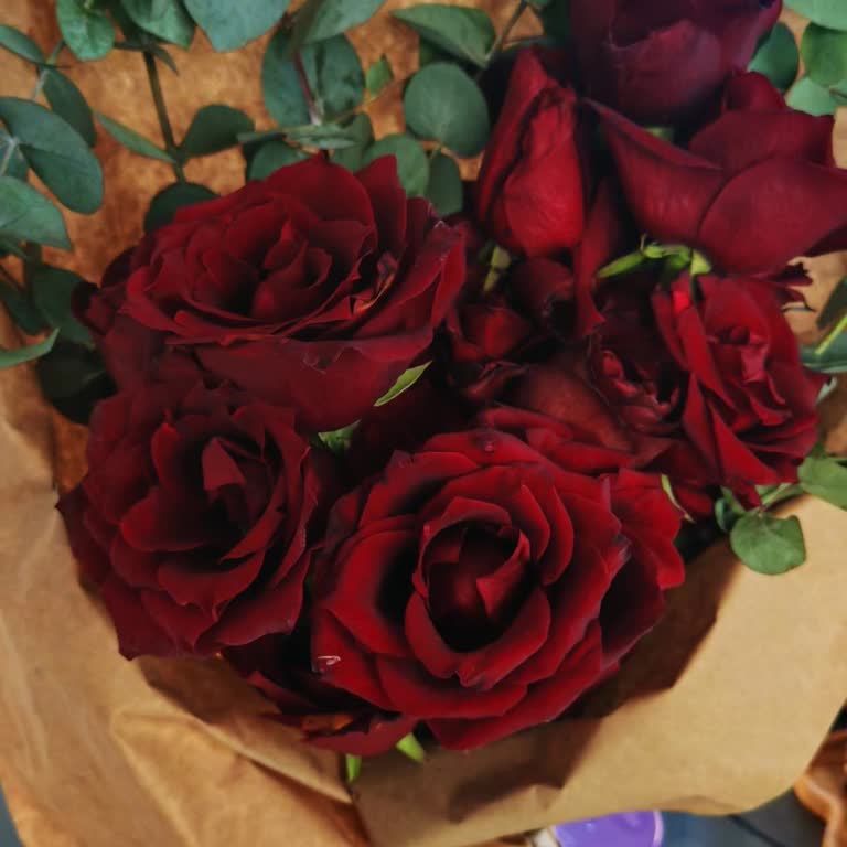 Erken Çiçek Teslimatı Ve Solmuş Buket, Yorumum Reddedildi