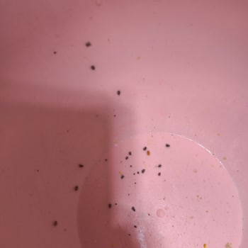 Son Kullanma Tarihi Geçmemiş Duru Nohut Ürününün Bozulması