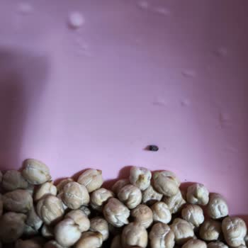 Son Kullanma Tarihi Geçmemiş Duru Nohut Ürününün Bozulması