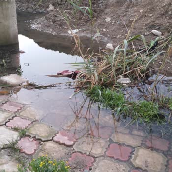 Kırık Rögar Borusu Nedeniyle Sürekli Su Basması Ve Kalıcı Çözüm Yok