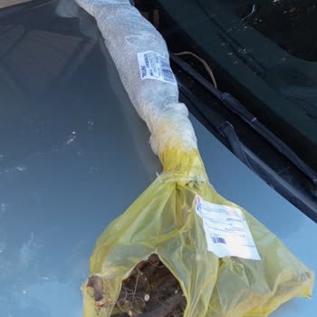 Fest Danışmanlık Ve Depolama Baston Gülü Siparişi Yanıltması Ve İade Kodu Yok: 2.999 TL İade Talebi