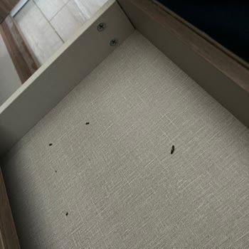 Doğtaş’ta Costa TV Ünitesi Şöminesinde Fare Dışkısı Ve İdrarı Bulundu, Montaj Sonrası Hizmet Kayıp