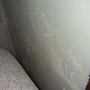 Çatı Borusu Sızıntısı Ve Sürekli Rutubet Sorunu Çözülmedi