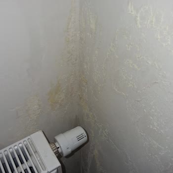 Çatı Borusu Sızıntısı Ve Sürekli Rutubet Sorunu Çözülmedi