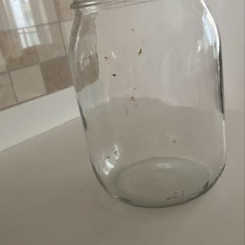 Bulaşık Makinesinde Temiz Yıkama Sorunu Ve WiFi Bağlantı Problemi