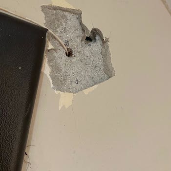 Fiber Kurulumunda Duvar Hasarı Ve Onarım Talebi