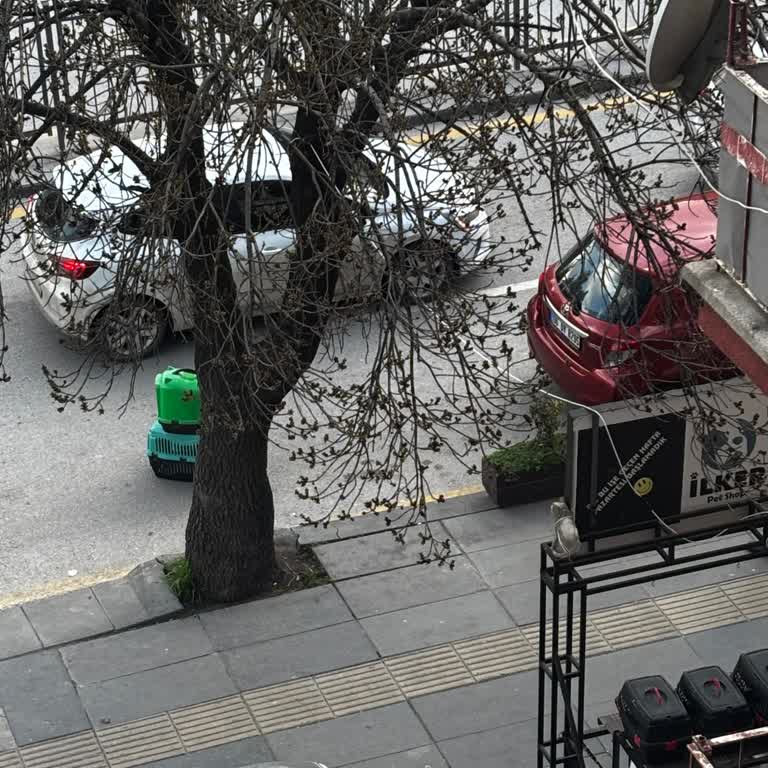 Engin Petshop Kaldırımı Ve Engelli Yolunu Ürünleriyle İşgal Ediyor