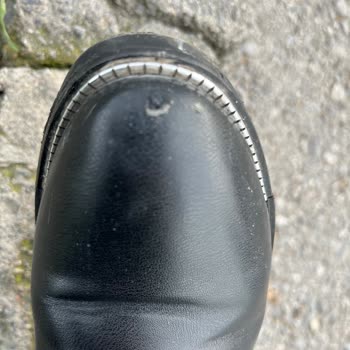 Derimod Botunda Deri Soyulması Ve Altı Aylık İnceleme Süresi Nedeniyle Yardım Alamama