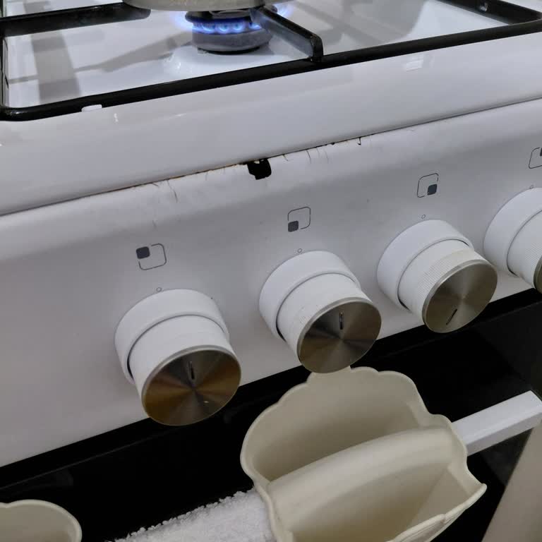 Vestel Solo Fırın Ön Paneli Tekrar Arızalanıyor Ve Ücretsiz Değişim Talebi