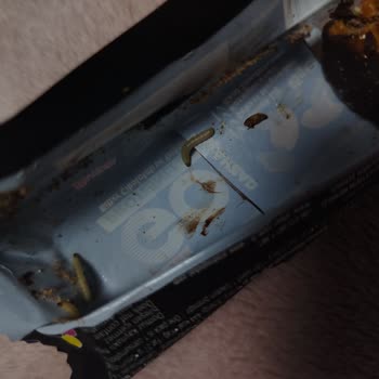 İndirimli Protein Barında Solucan: Sağlık Riski Ve Denetim İstemi