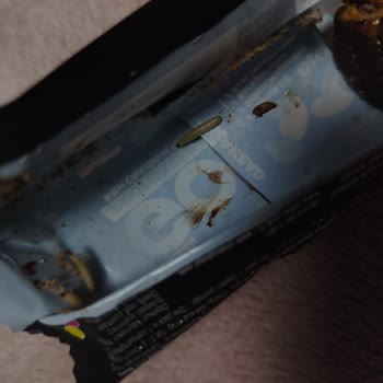 İndirimli Protein Barında Solucan: Sağlık Riski Ve Denetim İstemi