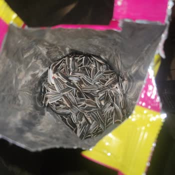 Yanlış Ürün Gönderimi: Papağan Yemi Yerine Ayçiçek Çekirdeği