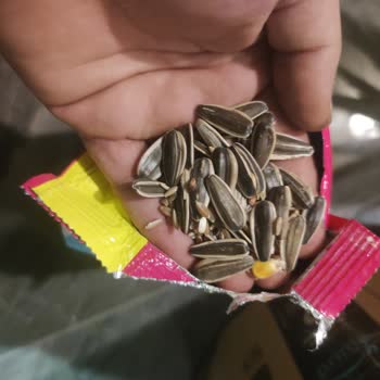 Yanlış Ürün Gönderimi: Papağan Yemi Yerine Ayçiçek Çekirdeği