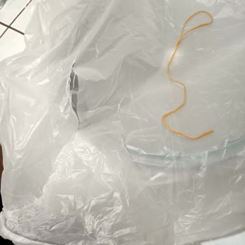 Taç Mutfak Üründe Deformeler Olması
