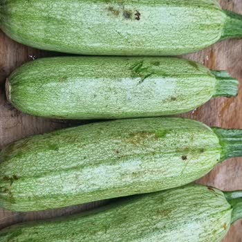 Kalitesiz Ürünler Ve Cevapsız Müşteri Desteği