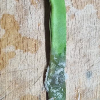 Kalitesiz Ürünler Ve Cevapsız Müşteri Desteği