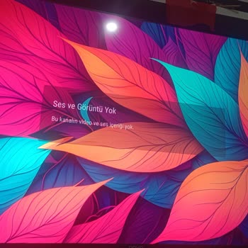 Onvo 55 İnç QLED TV Sürekli Yeniden Başlatma Ve Görüntü Sorunu