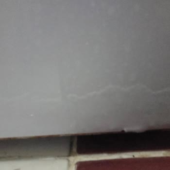 Bosch Çamaşır Makinesinde Erken Paslanma Ve Ana Kart Arızası