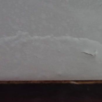 Bosch Çamaşır Makinesinde Erken Paslanma Ve Ana Kart Arızası