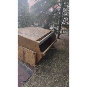 Zabıta Ekiplerinin Sokak Kedisi Kulübesine Yönelik Seçici Ve Adaletsiz Tutumu