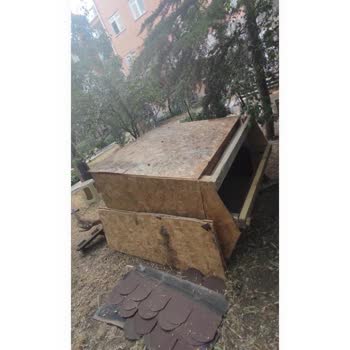 Zabıta Ekiplerinin Sokak Kedisi Kulübesine Yönelik Seçici Ve Adaletsiz Tutumu