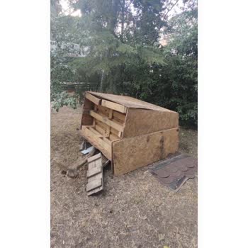 Zabıta Ekiplerinin Sokak Kedisi Kulübesine Yönelik Seçici Ve Adaletsiz Tutumu