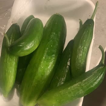 Migros’ta Paketli Salatalıkta Gizli Ucuz Ürünle Müşteriyi Aldatma