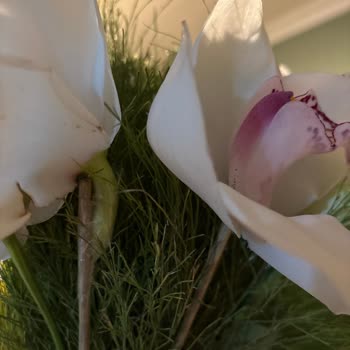 Hızlı Çiçek | hizlicicek.com Koparılmış Dallar Ve Bantlanmış Çiçek: Kalitesiz Buket