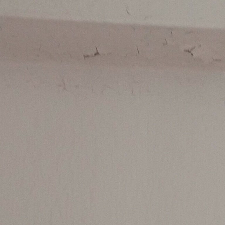 Marshall Boya’nın Bozuk Boyası Duvar Kabarmasına Ve 15.000 TL Zararına Yol Açtı