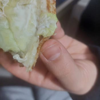 Mayonez Ve Turşu Çıkarılmadı, Burger King Siparişimde İade Reddi