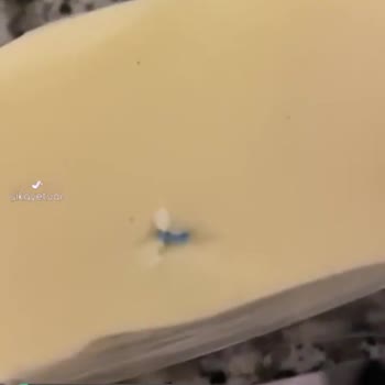 Yelken Taze Kaşar Peynirinde Plastik Parça Çıktı!