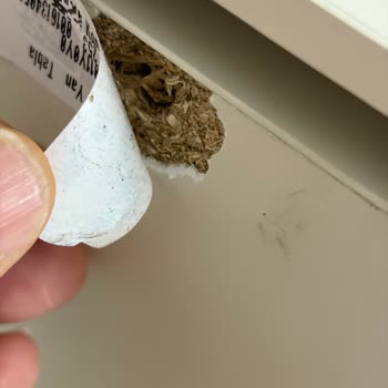 Kırık Ve Eksik Parçalı Larissa Konsolu İçin Hızlı Değişim Talebi