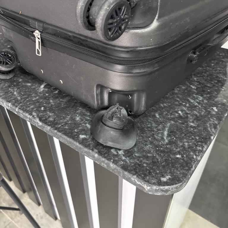 Pegasus Bagajımda Kırık Tekerlek, Tazminat Ve Yeni Bavul Talebi