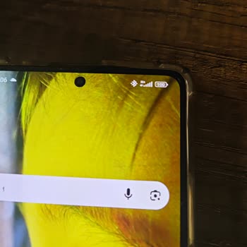 Seyhan’da Mobil İnternet Bağlantı Sorunu Ve Müşteri Hizmetleri Destek Eksikliği