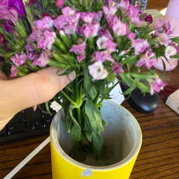 Doğum Günü Çiçeği Solmuş Ve Kırık Geldi, Tam İade Talebim