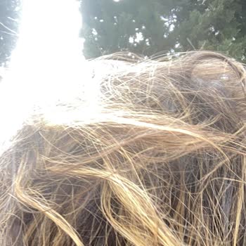 Kuaförün Turuncu Saç Rengi Hatası Ve Müşteri Saygısızlığı