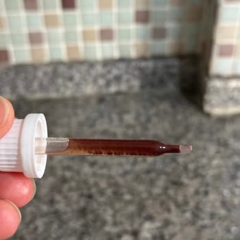 Bestiron Tortular Vardı ve Erimedi