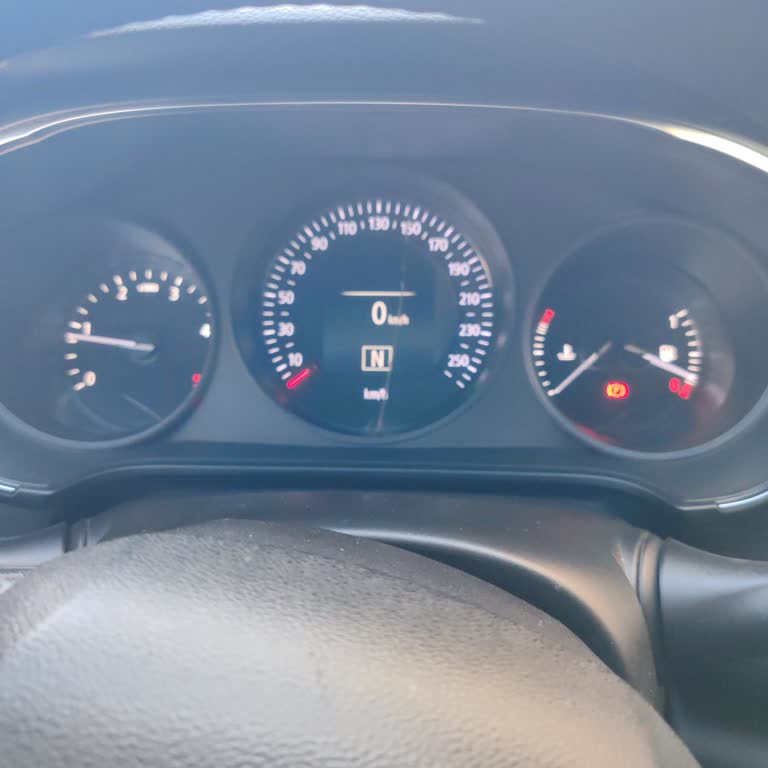 Renault Megane 4 2019 Modelinde Frenle Aniden Gazlanma Sorunu